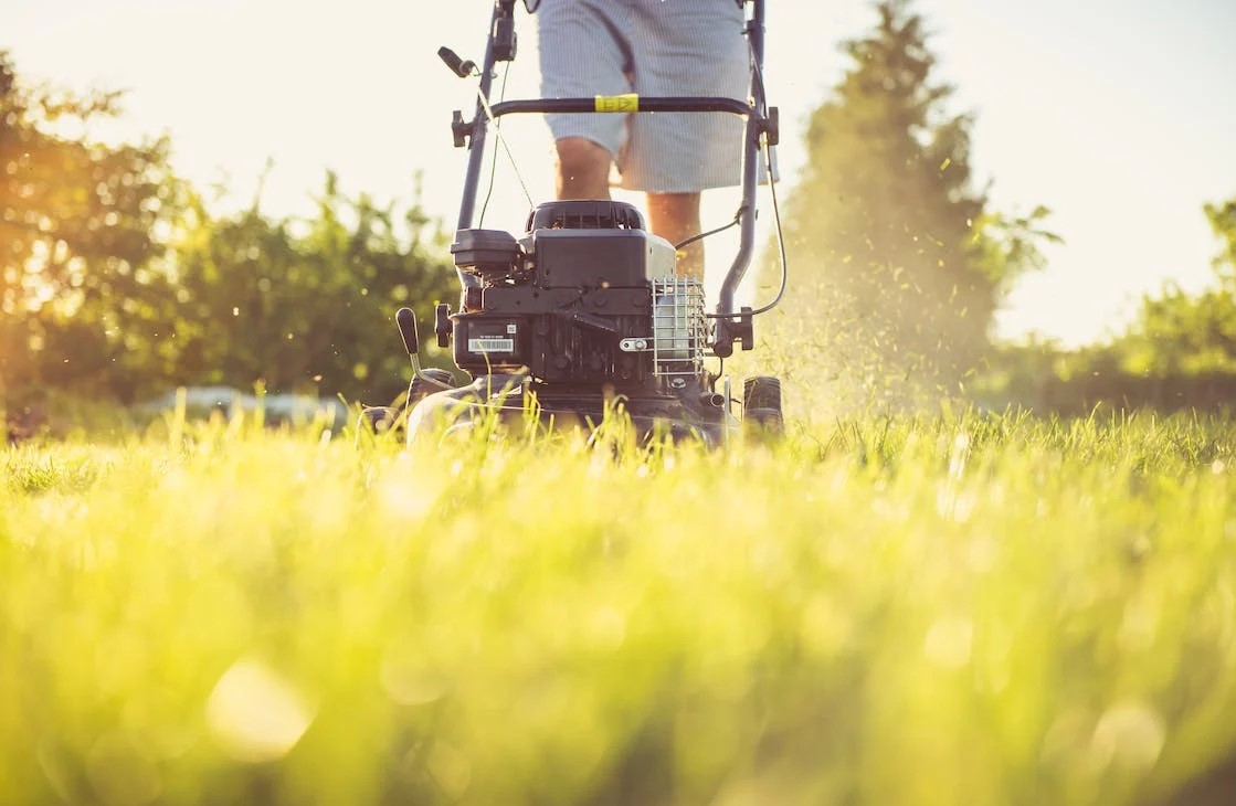 Lawn Mowing